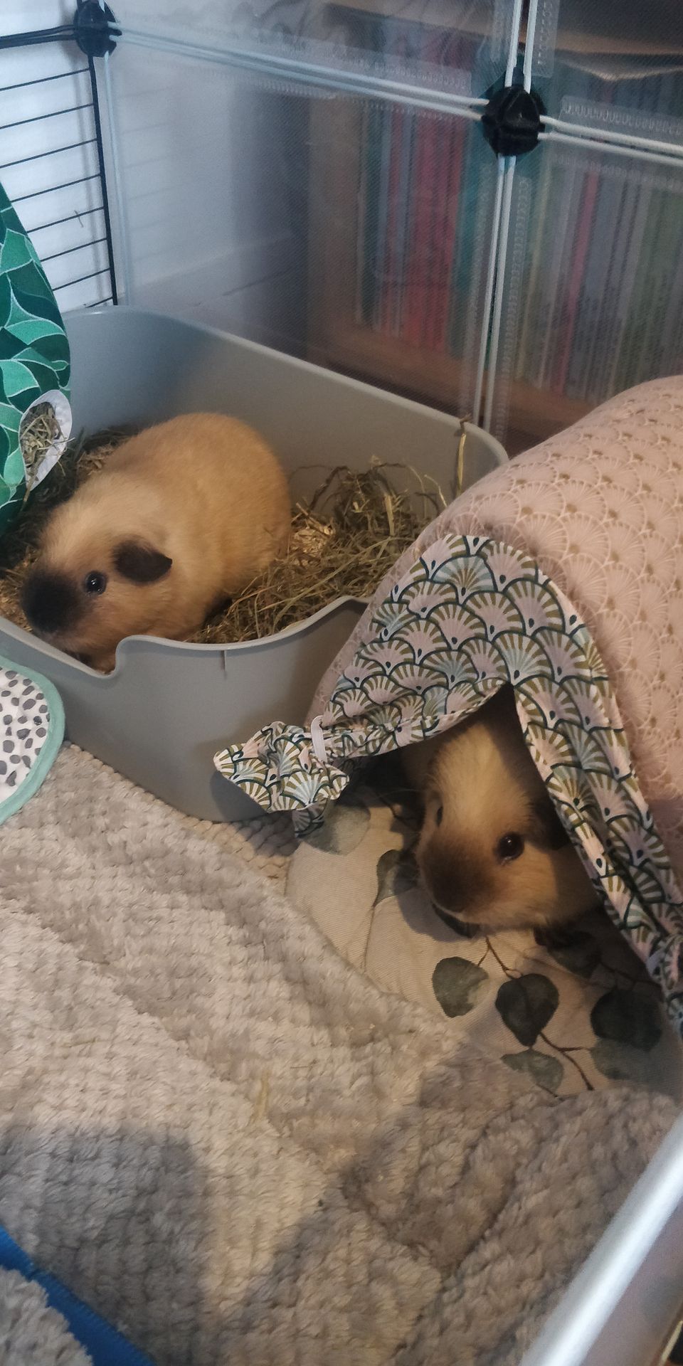 Méli & Mélo Méli & Mélo